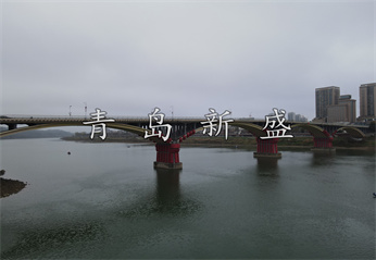 會龍山大橋  新盛固定式原圖 (111).jpg
