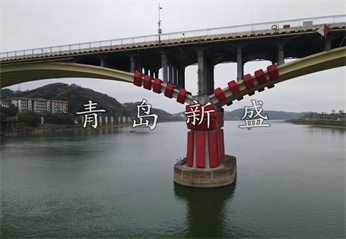 會龍山大橋  新盛固定式原圖 (116).jpg